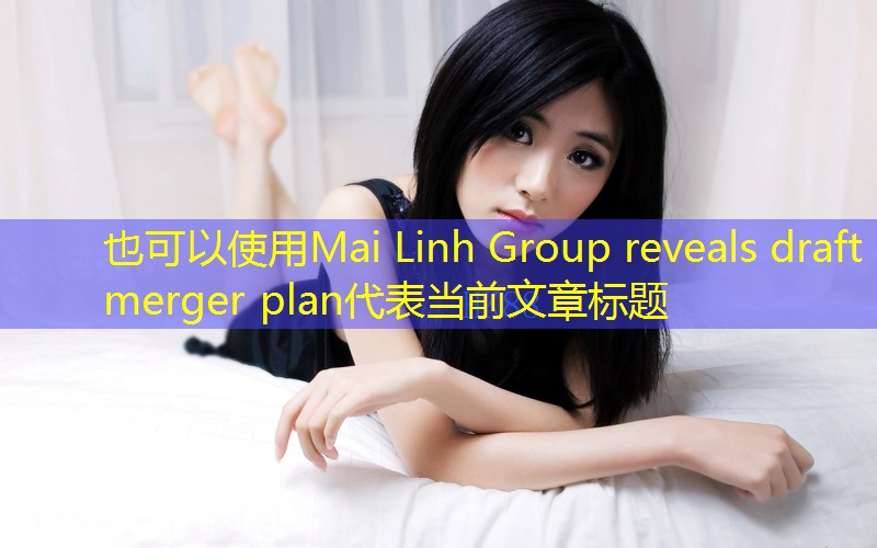 Mai Linh Group reveals draft merger plan